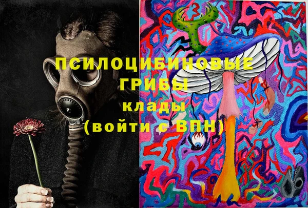 гашик Алзамай