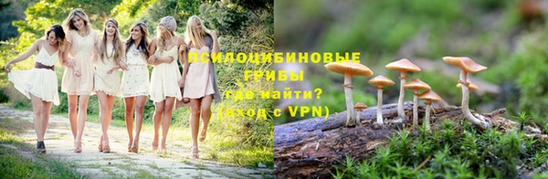 ALPHA-PVP Алексеевка