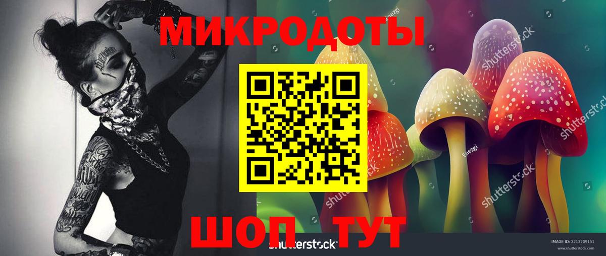 продажа наркотиков  Галлюциногенные грибы MAGIC MUSHROOMS  Вход с VPN  Аша 
